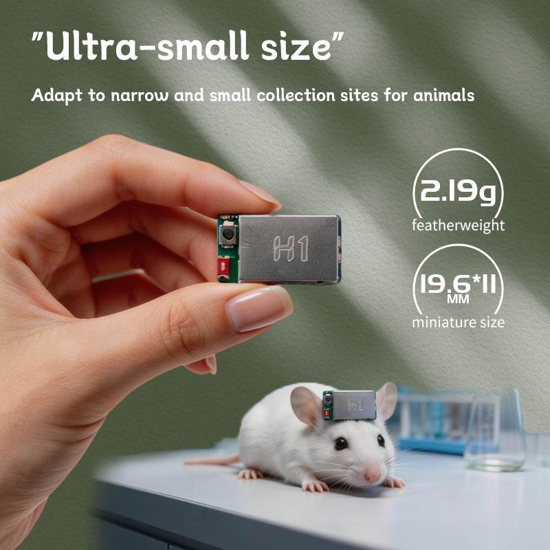 H1 EEG EMG Acquisition Module  - Muscle Sensor Emg review and price